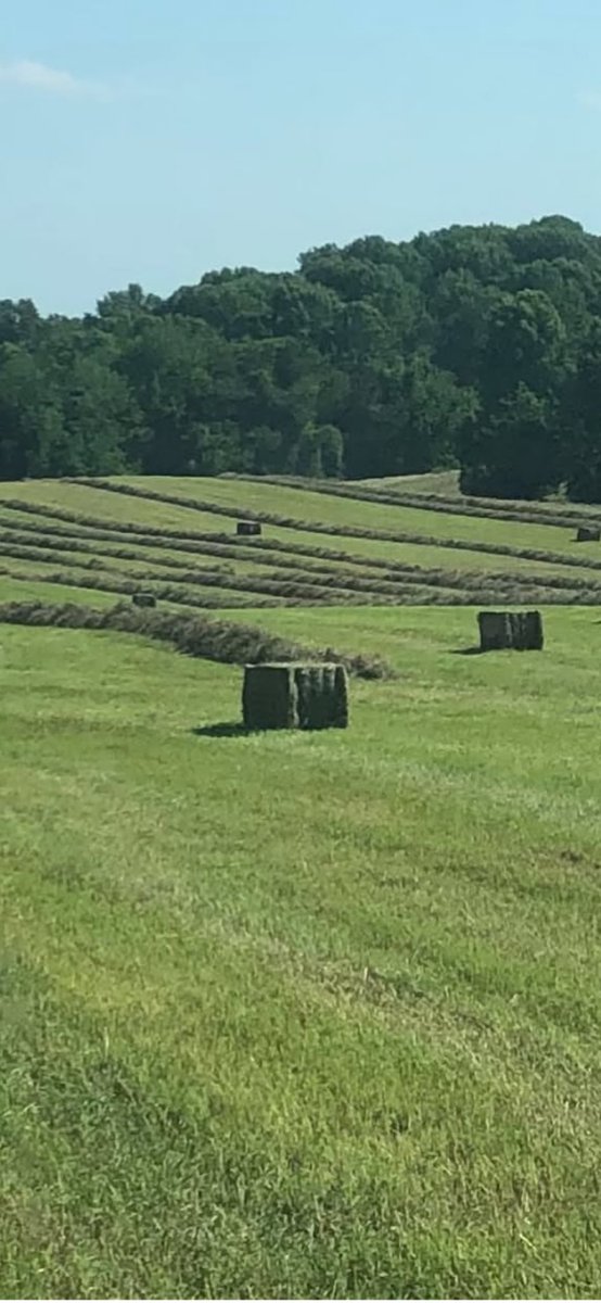 Hate to bale on Sunday but rain forecast for the next 100 days