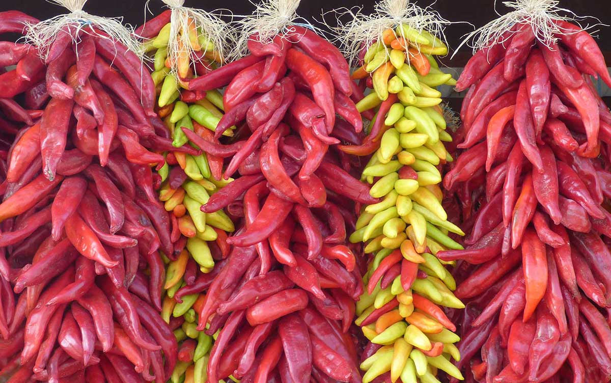 505Nomad's tweet image. Explore the spicy bliss of New Mexico's culinary traditions with this collections of #recipes, #dining suggestions and resources for #foodies - newmexiconomad.com/resources/food/
#foodie #NomNom #goodfood #spicy #cuisine #recipe