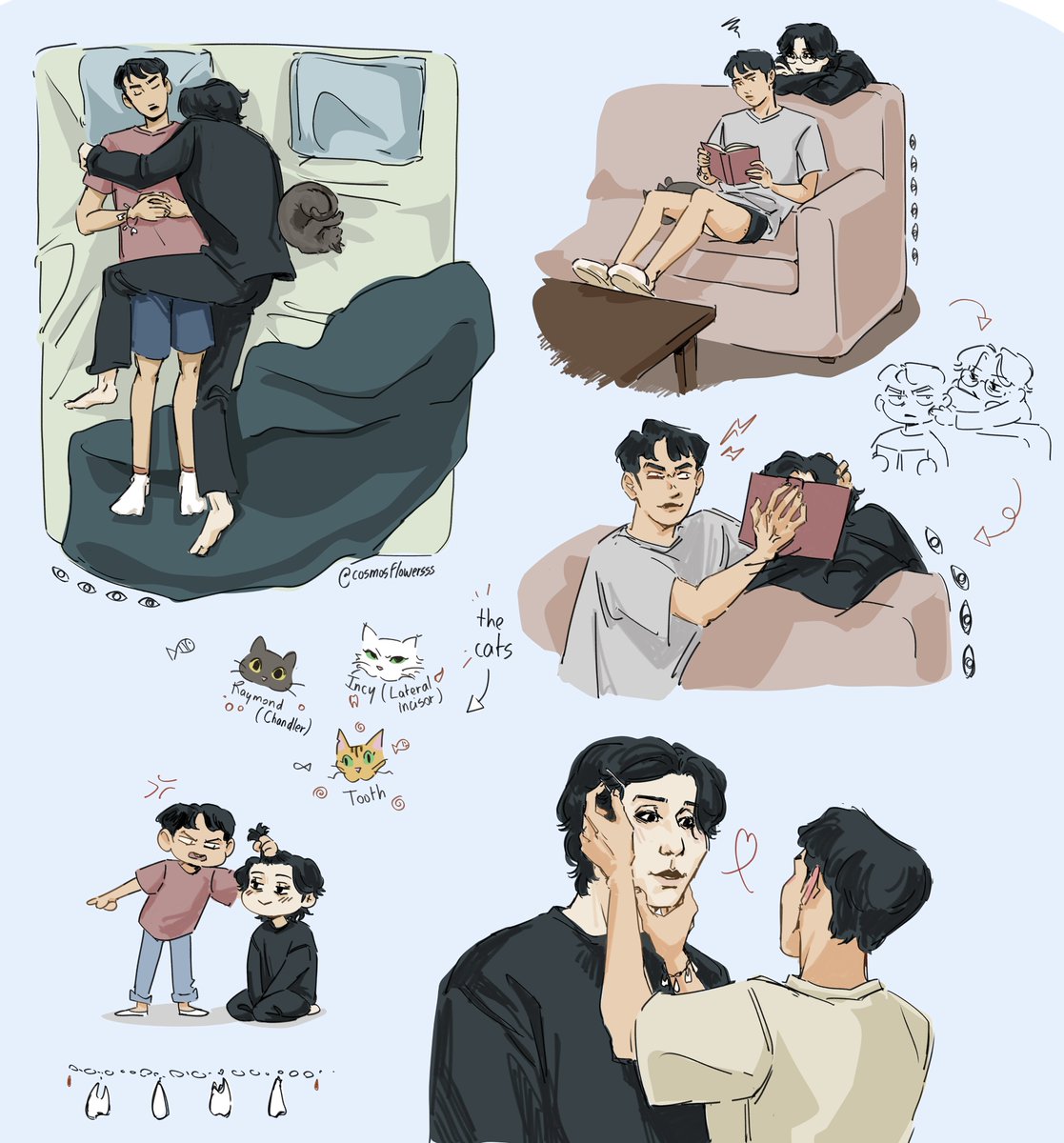 cosmosflowersss's tweet image. Domestic mjjw yay