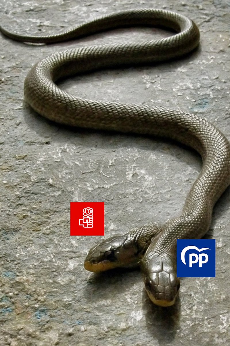 Política en España. O se cambia el sistema o estaremos igual.