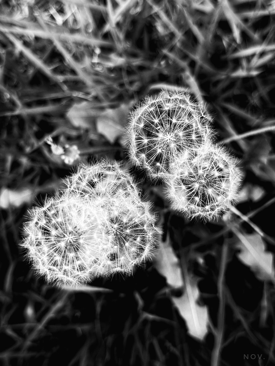 만사 심드렁한 상태에서도 놓치면 안 되는 순간이 있었다.