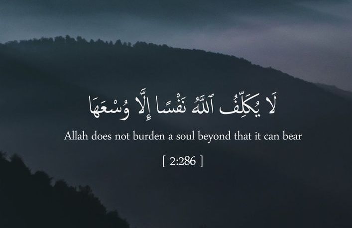 gm everyone, it gets better.🙏