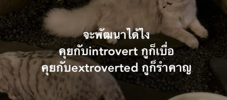 มึงถึงโสดแบบทุกวันนี้ไง555555555