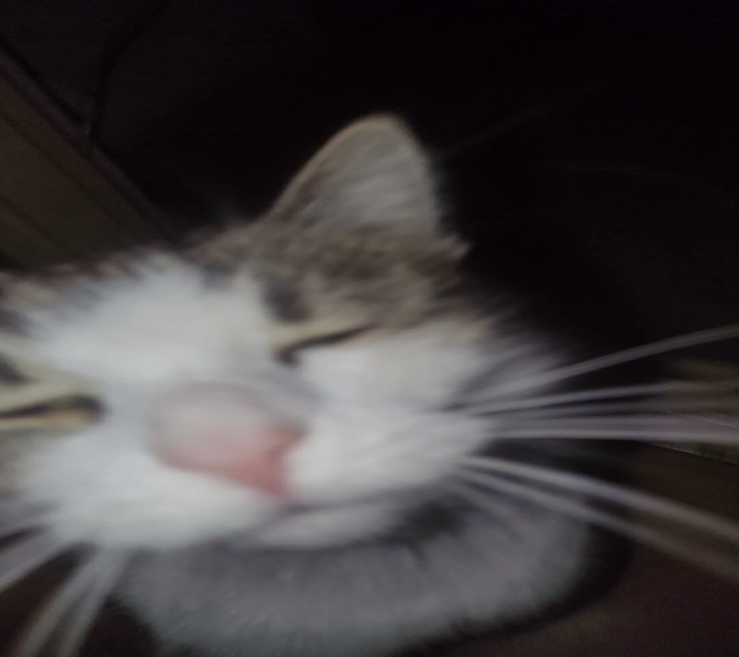 J553617746654's tweet image. wait im floated