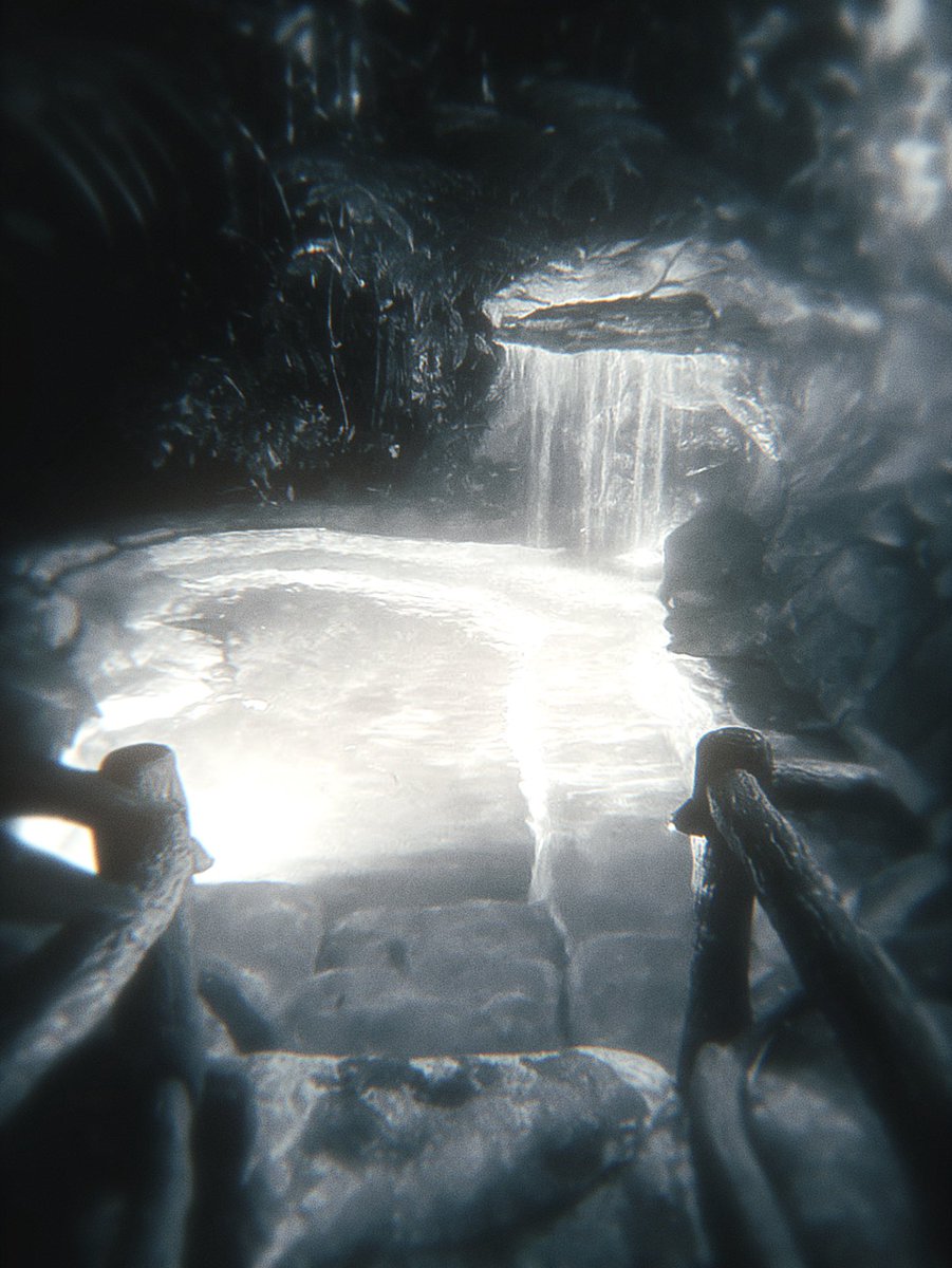 uma morceguinha que adora água (: