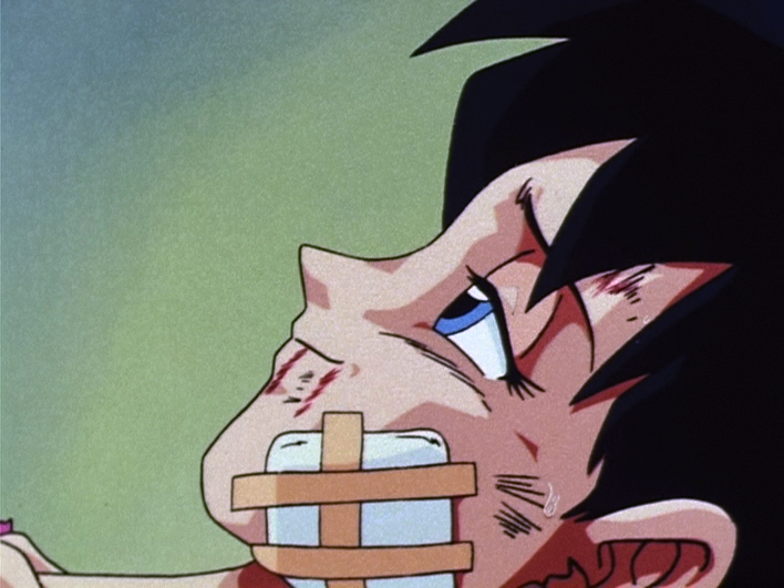 Dragon Ball Perfect Shots (@dbperfectshots) on Twitter photo 
