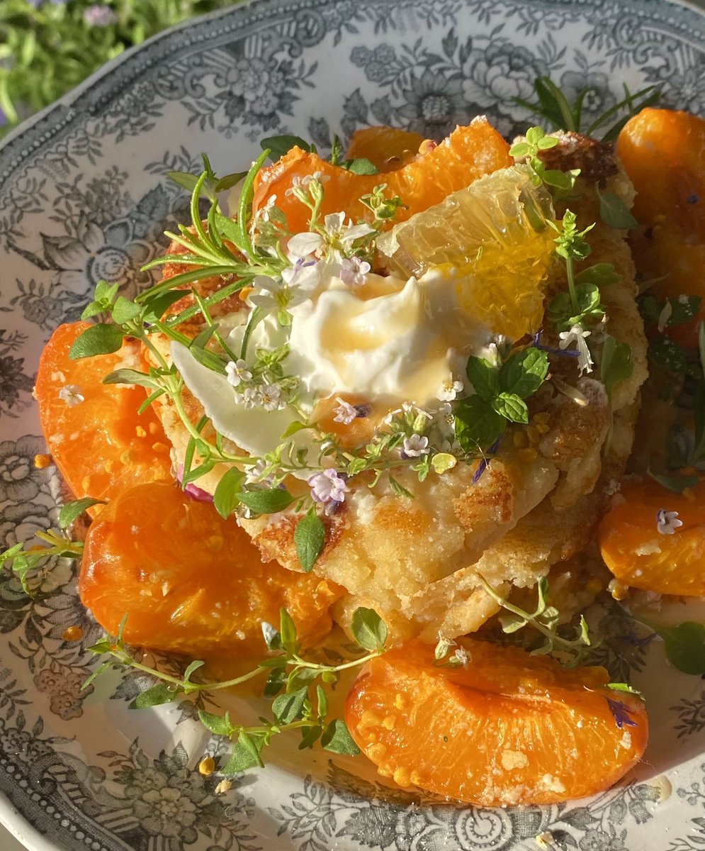 crystallisedfig's tweet image. Super fluffy buttermilk pancakes with caramelised apricots, thyme, and maple syrup