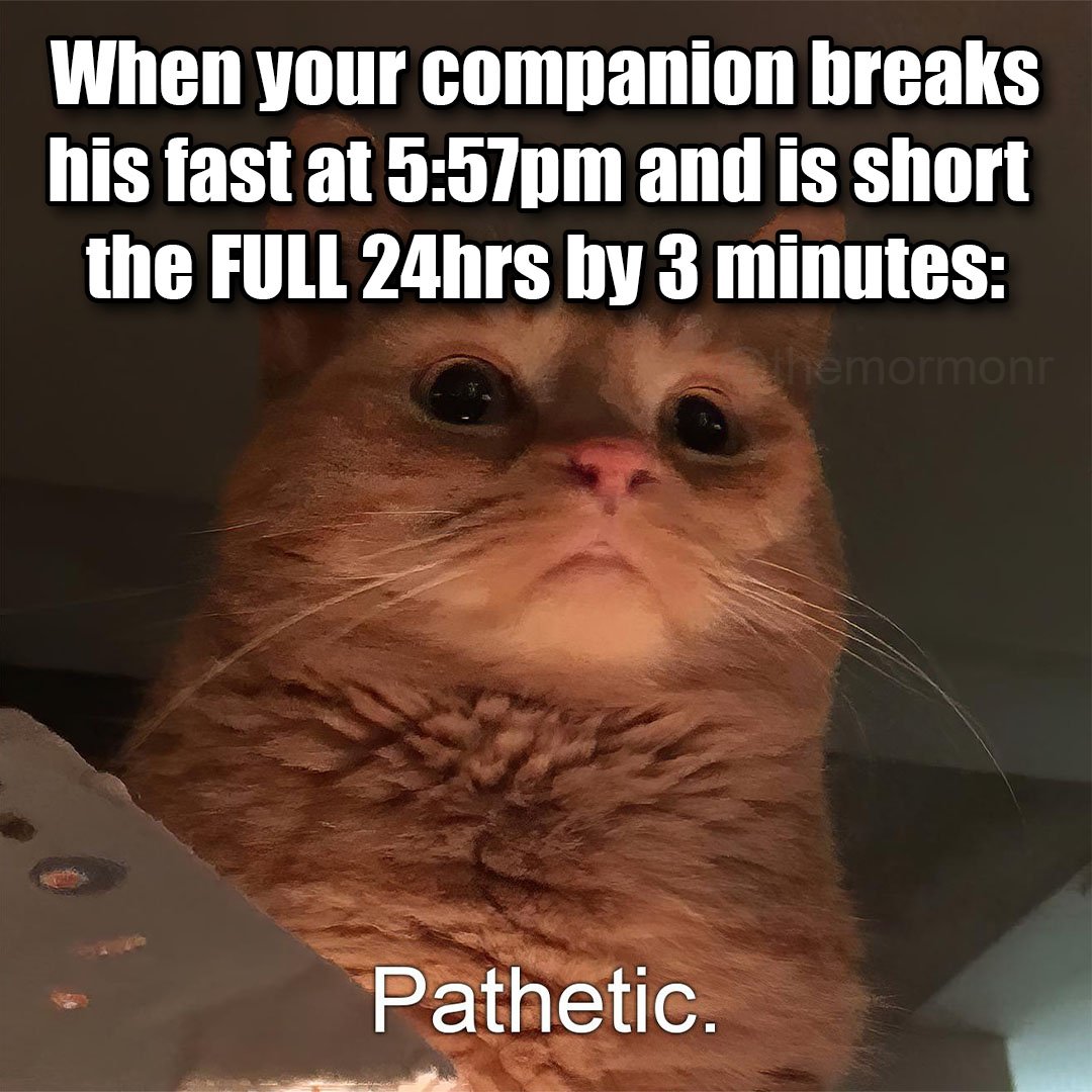 Mormonr (@themormonr) on Twitter photo 