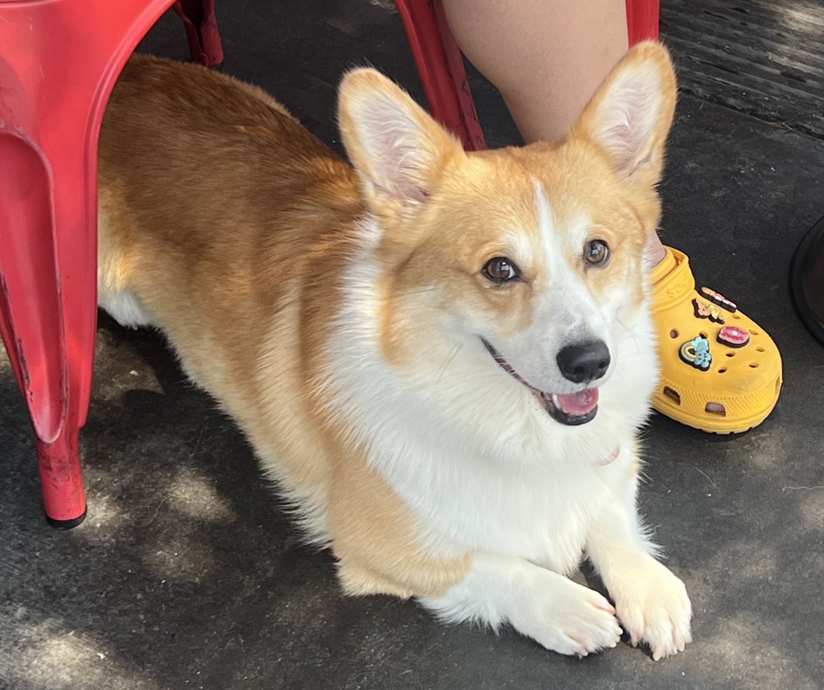 very impressive expression