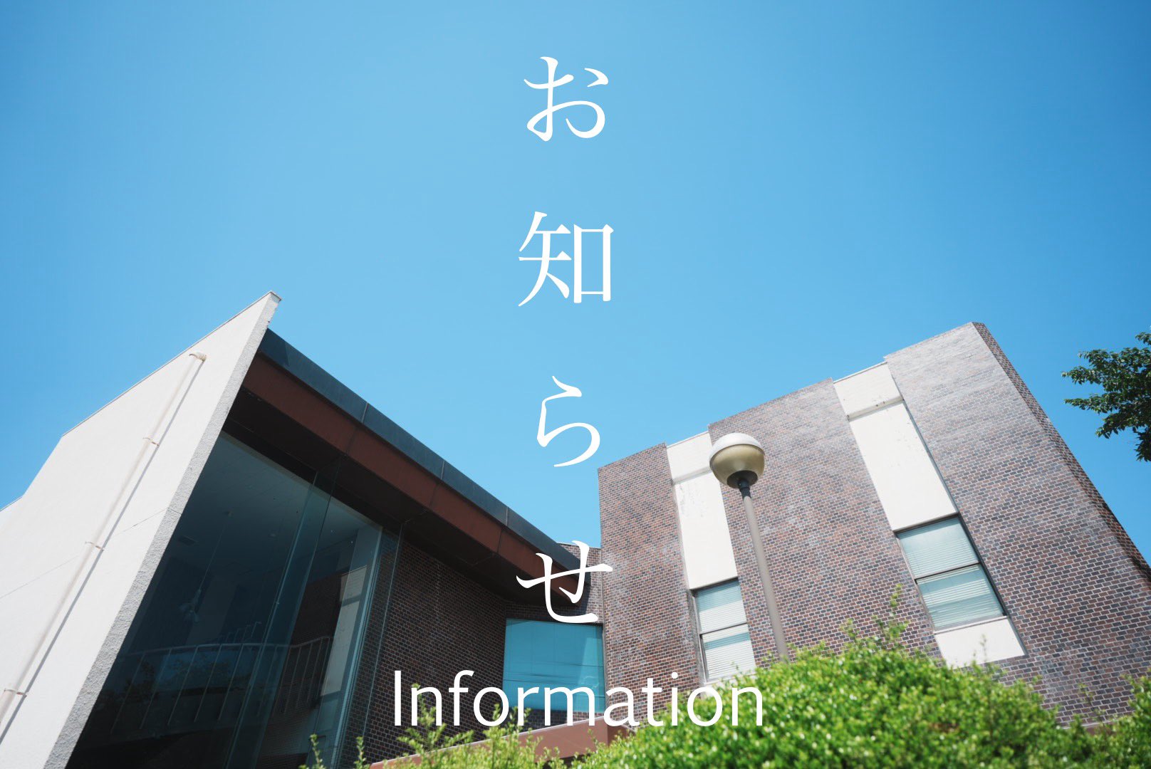 ANDO GALLERY 葛西薫 2025年カレンダー 単品 令和7年 壁掛け