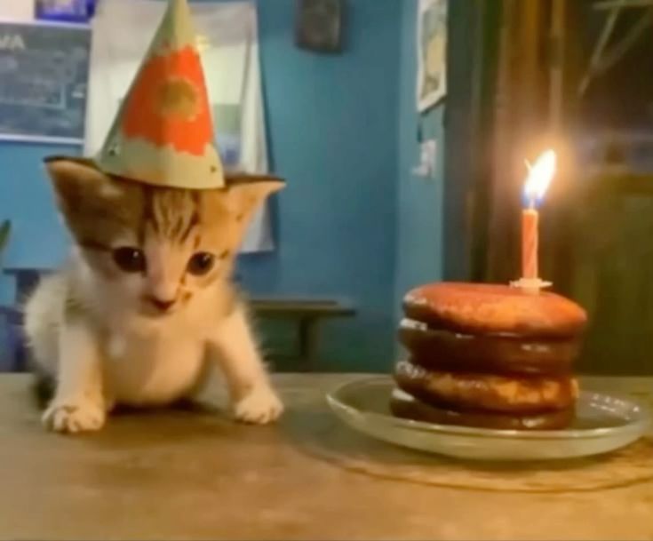 𝕯𝖔𝖈𝖙𝖔𝖗 𝕾𝖙𝖊𝖕𝖍𝖊𝖓 𝕾𝖙𝖗𝖆𝖓𝖌𝖊 tweet media