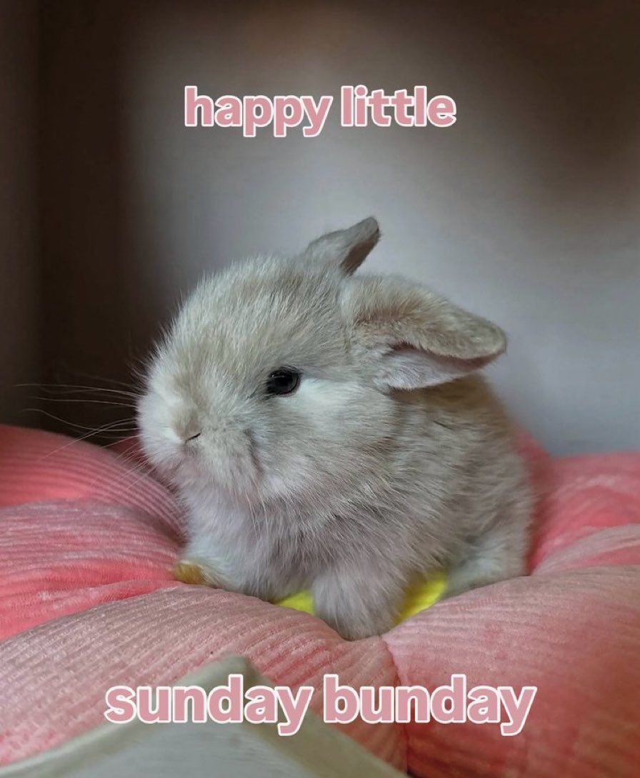 Have a good one guys~

TWITCH: GALACTIC