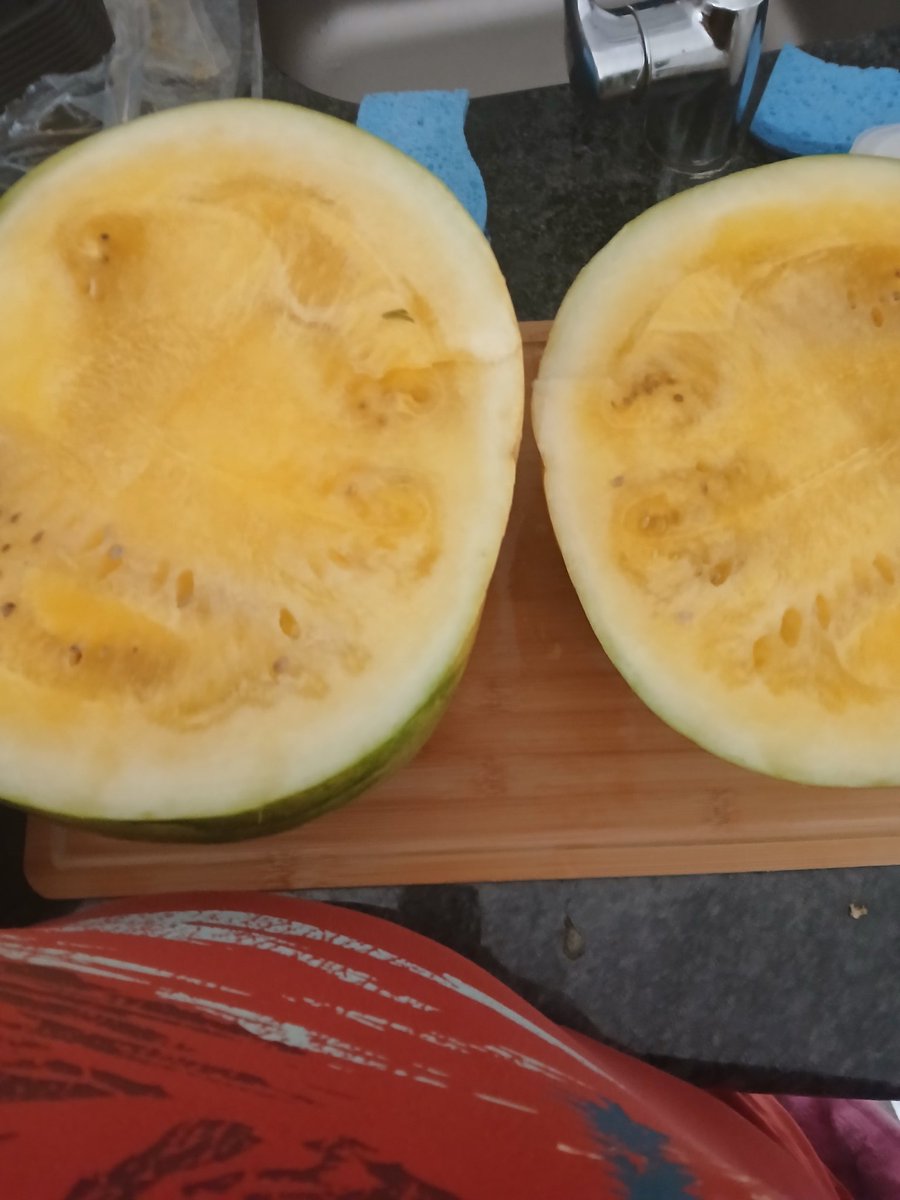 MMitchell4590's tweet image. I found my yellow watermelon and it's delicious. 😋This huge 🍉 made 9 big bowls. I'm so happy 😁