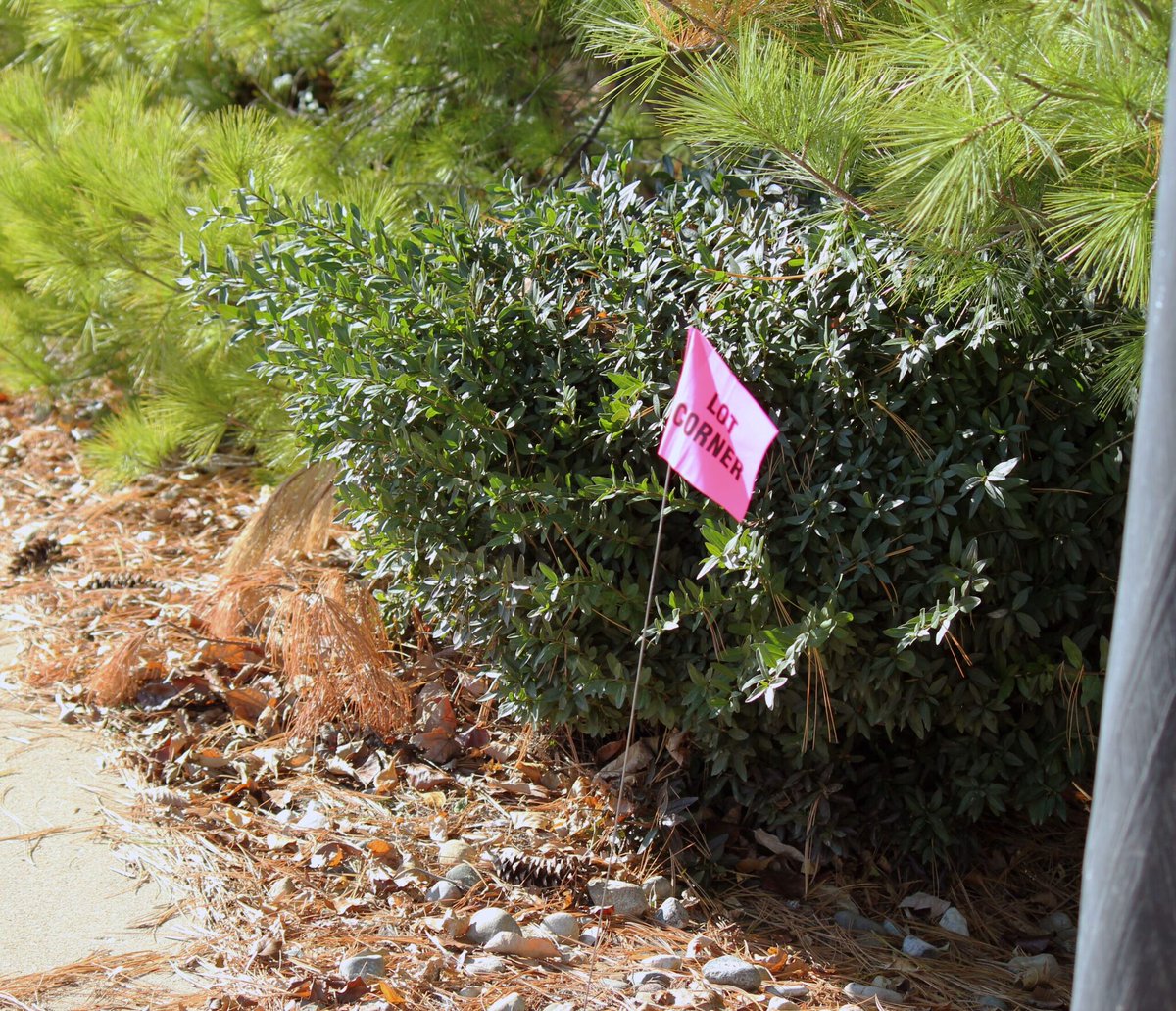 Sometimes, a standard #boundarysurvey just isn’t enough. Whether you're dealing with a neighbor’s tree, a questionable fence line, or need extra detail for peace of mind, we can help. Our #landsurveys provide the clarity you need - bit.ly/44KFnPT

#PropertyLines