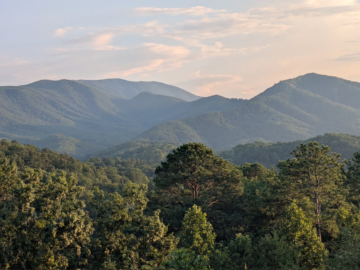 Nathan Miller tweet media