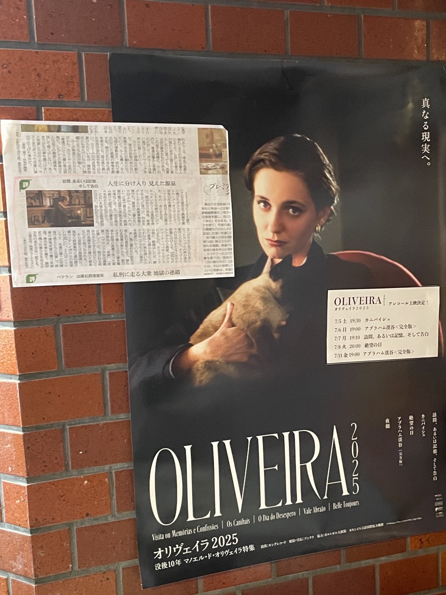 アブラハム渓谷　廃盤　マノエル・デ・オリヴェイラ　ボヴァリー夫人 41NQQP60F1L._UF350,350_QL50_.jpg