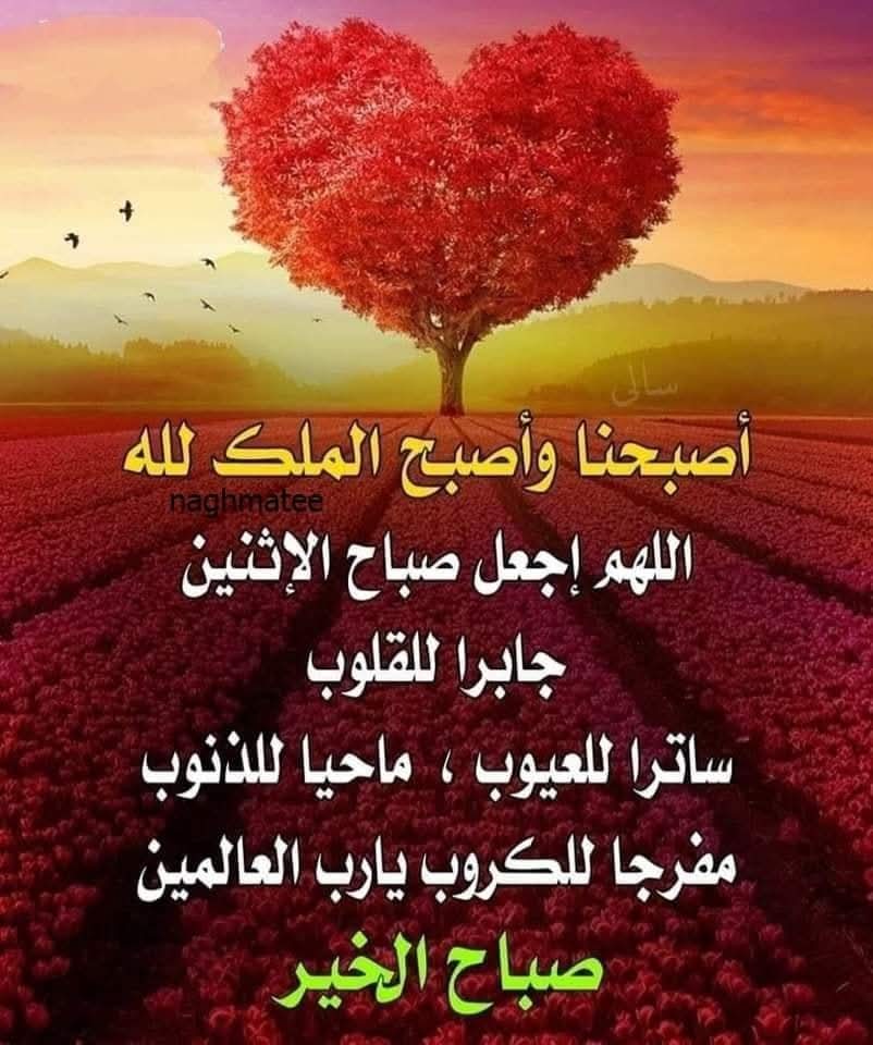 اللَّهُم ماقَسّمت فِي هَذا اليَوم
مِن مَغفرة وعافِية ورِزق وإستجابة للدعوات،
ف إجعل لنا ولِمَن أحببنا أوفَر النصِيب ..
صباح الخير🌻