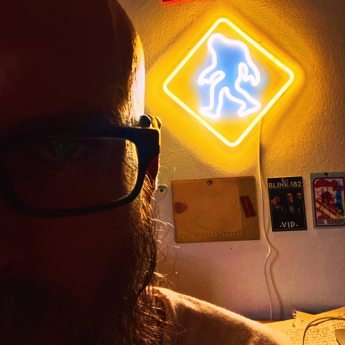 would truly love to live out a real life Harry and the Hendersons scenario.