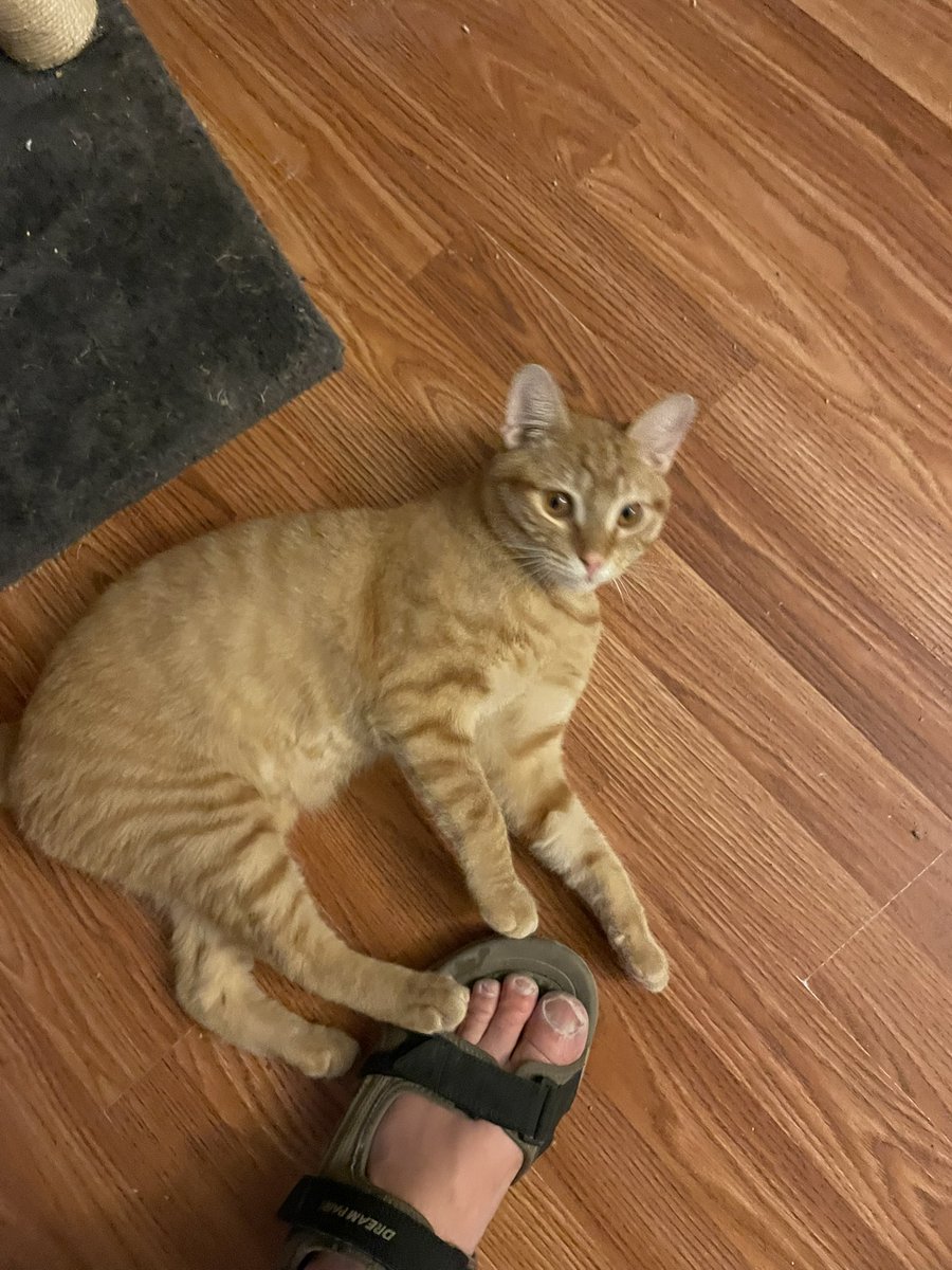 I think somebody is happy to see that I’m home from my afternoon with the special Olympians from the Sackville Bedford Braveheart, and our cruise on the tall ship silva.