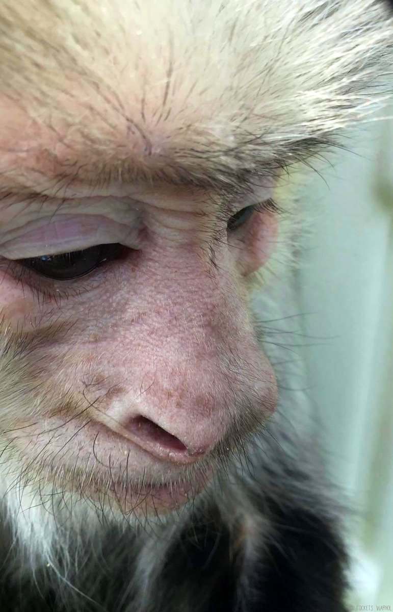 My heart goes out to Texas❤️🇺🇸