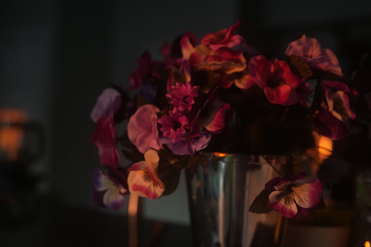 Freedom, space and art…