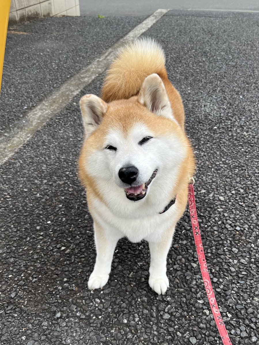 今日は七夕🎋
みんなが笑顔で過ごせますように🙏✨️

 #七夕の願い事  #七夕