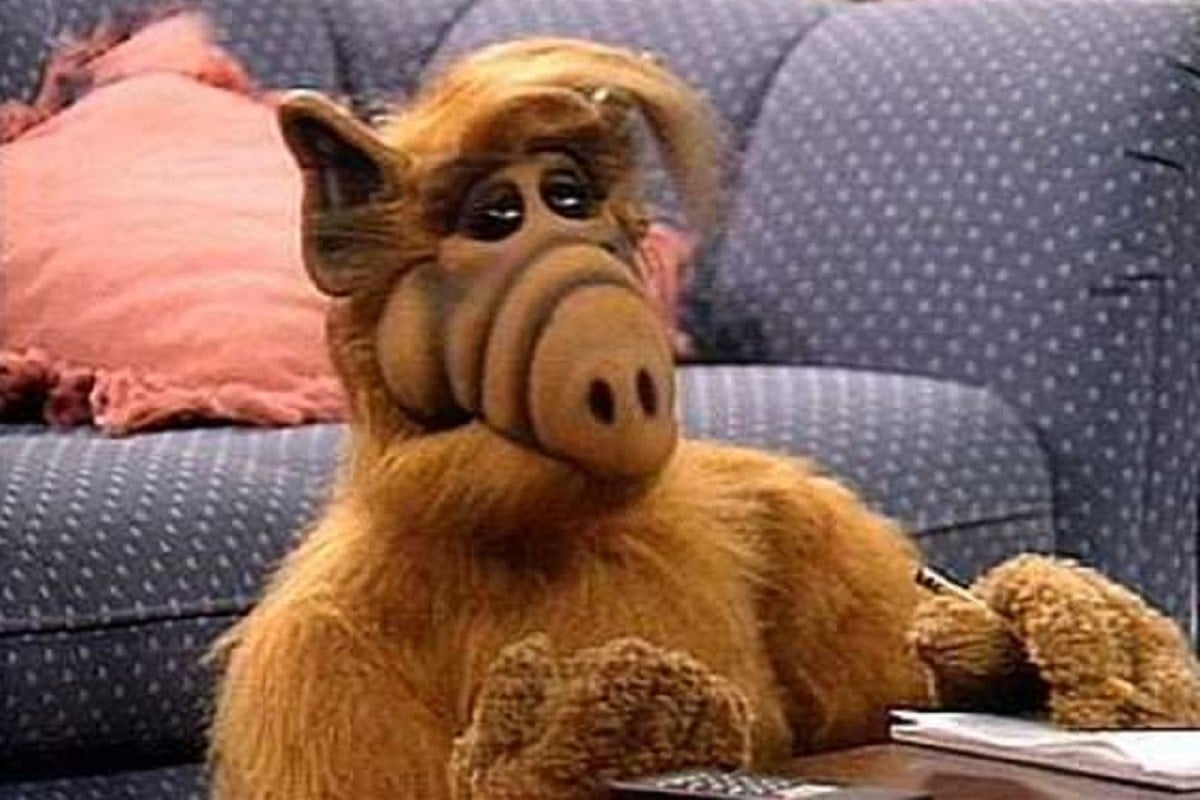 Fill in the blank.

ALF's favorite snack was ________.
