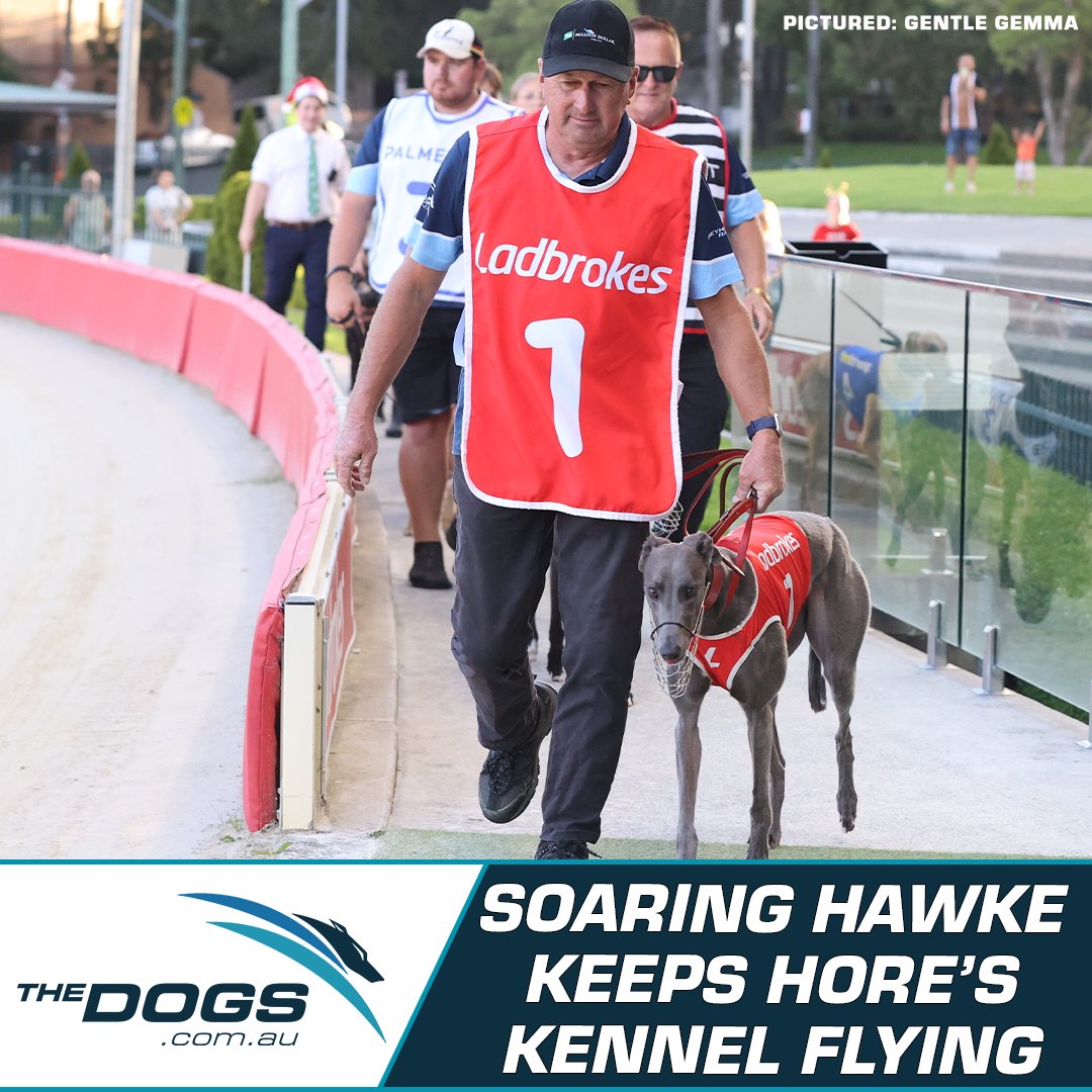 Greg Hore was so fond of his New Zealand greyhound Soaring Hawke that when he returned to NSW after a stint training across the Tasman, he brought the winner of nine races with him.

Hore's affection for Soaring Hawke has been a financial bonanza for the trainer, as she not only