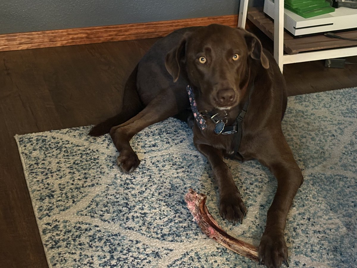 He can’t believe his luck