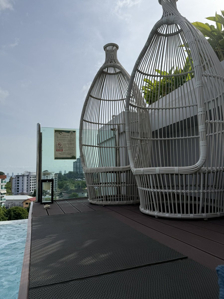 JusssTony's tweet image. Everyday on the pool deck this bird or another enters a great battle with it’s enemies🤣

Fighting on two fronts a real legend 👍

#LetTheBattleBegin 
#BirdStuff