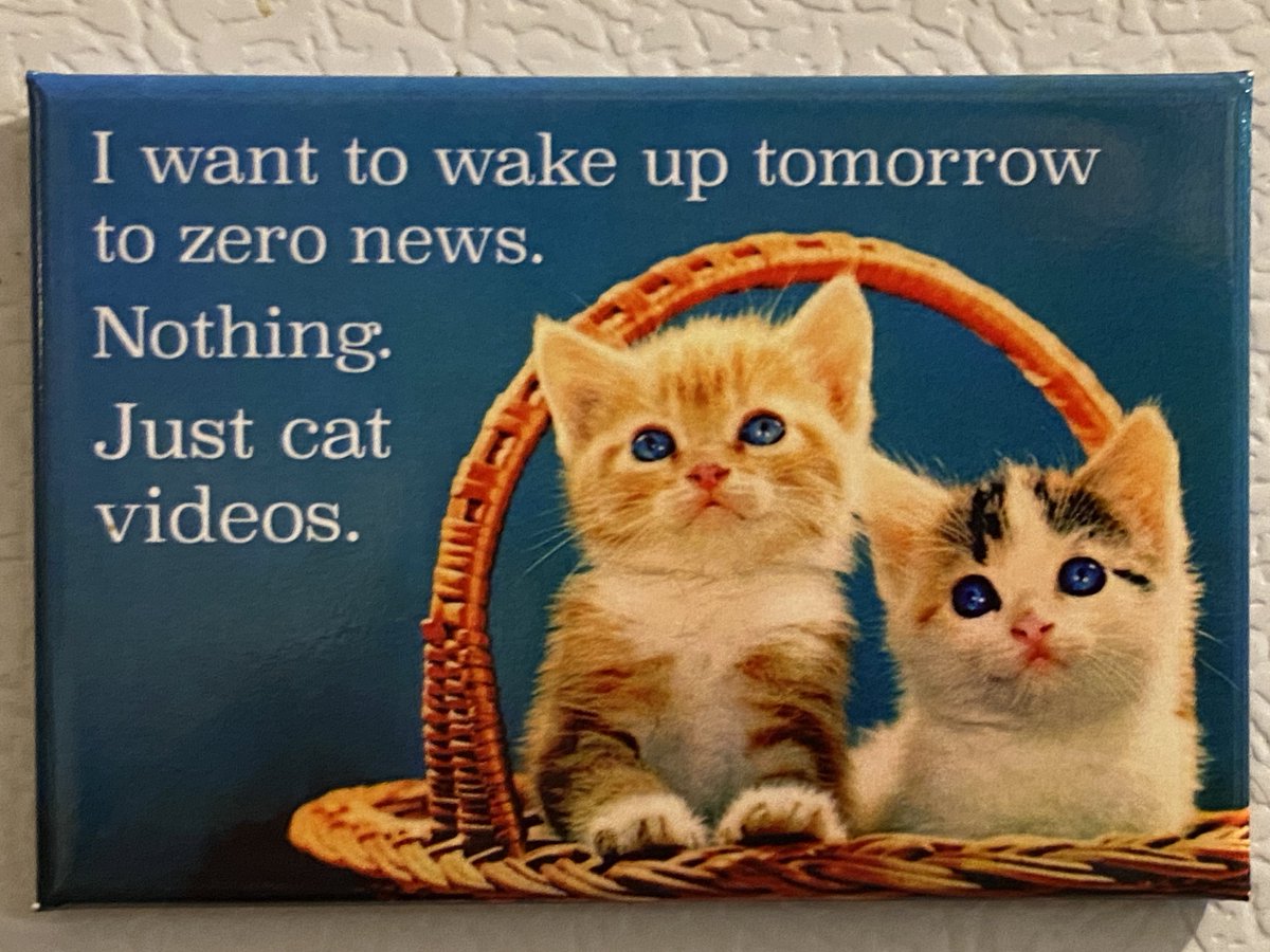 The human has decided this magnet on the fridge is now their #MondayMotivation. (Actually it's their motivation for the rest of the week, month, and year, but one step at a time...)

#SundayVibes #CatsOfX