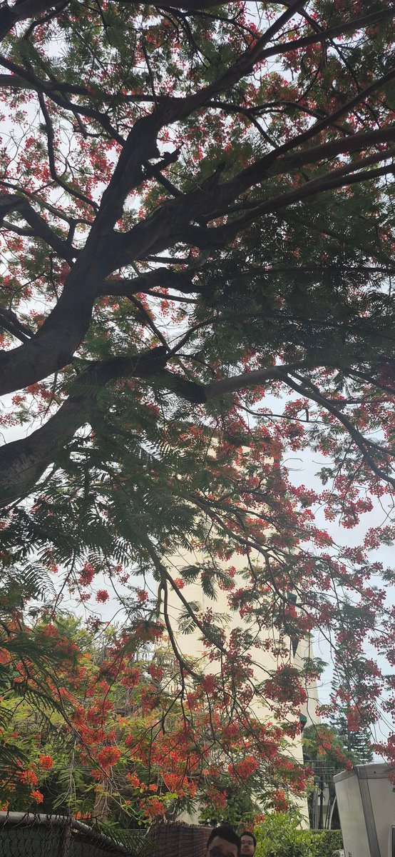 Ate Sushi then walked arround for like 5 hours Happy 23 to meee