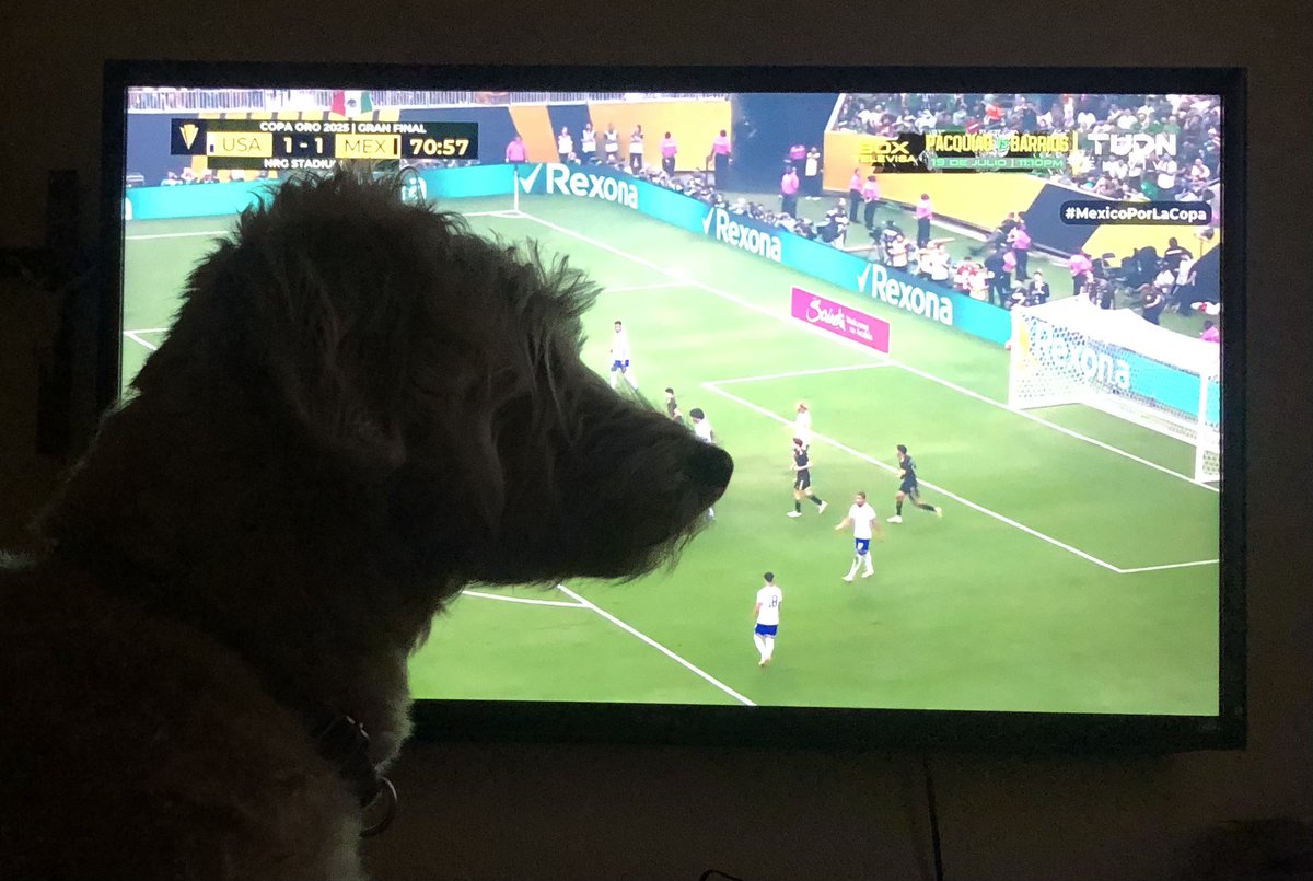 Alex7ny's tweet image. Alguien se aferra a que ya la saque a pasear