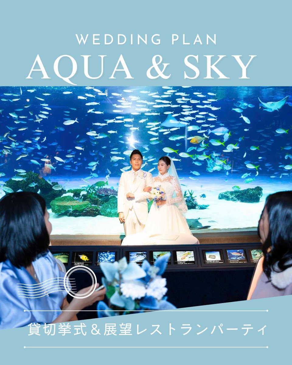 Sunshine_Aqua's tweet image. 💐水族館貸切ブライダル💐
【挙式からパーティーまで!AQUA&SKYプラン!】
「好き」を詰め込んだ自由な結婚式を。
AQUA&SKYプランなら招待状や引出物の持込OK&持込料無料!
こだわり全開の結婚式が叶います💕デザイン相談も大歓迎◎
サンシャインスカイブライダルで、おふたりらしい一日を。…