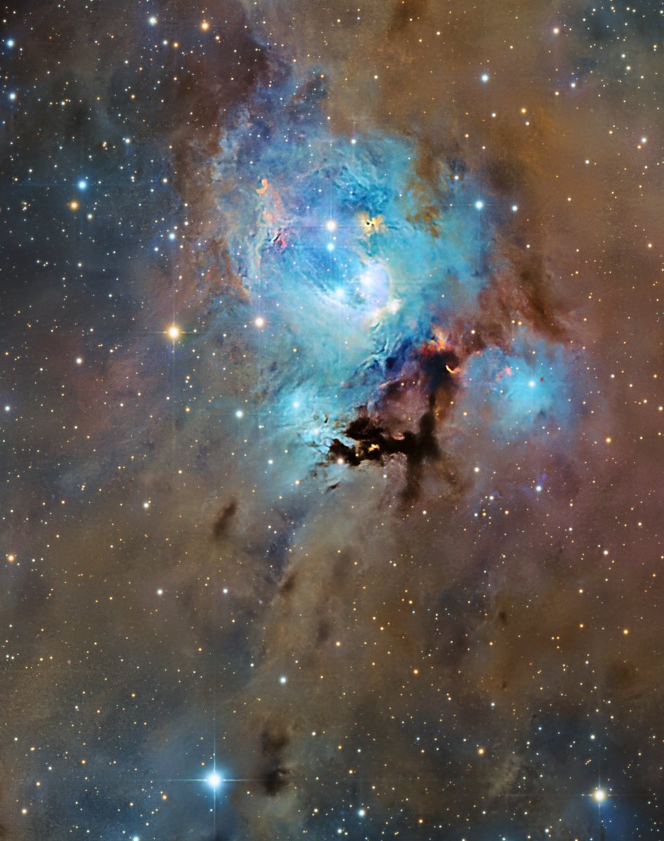 chucksastropho1's tweet image. My latest - the Flower Bud Nebula (NGC 7129). Three young stars near the center are sending jets of supersonic gas, producing the complex nebulosity that appears like a stem of a rosebud. 

Celestron RASA telescope
ZWO ASI533MC camera
Antlia L-Filter
Starfront Observatories, TX