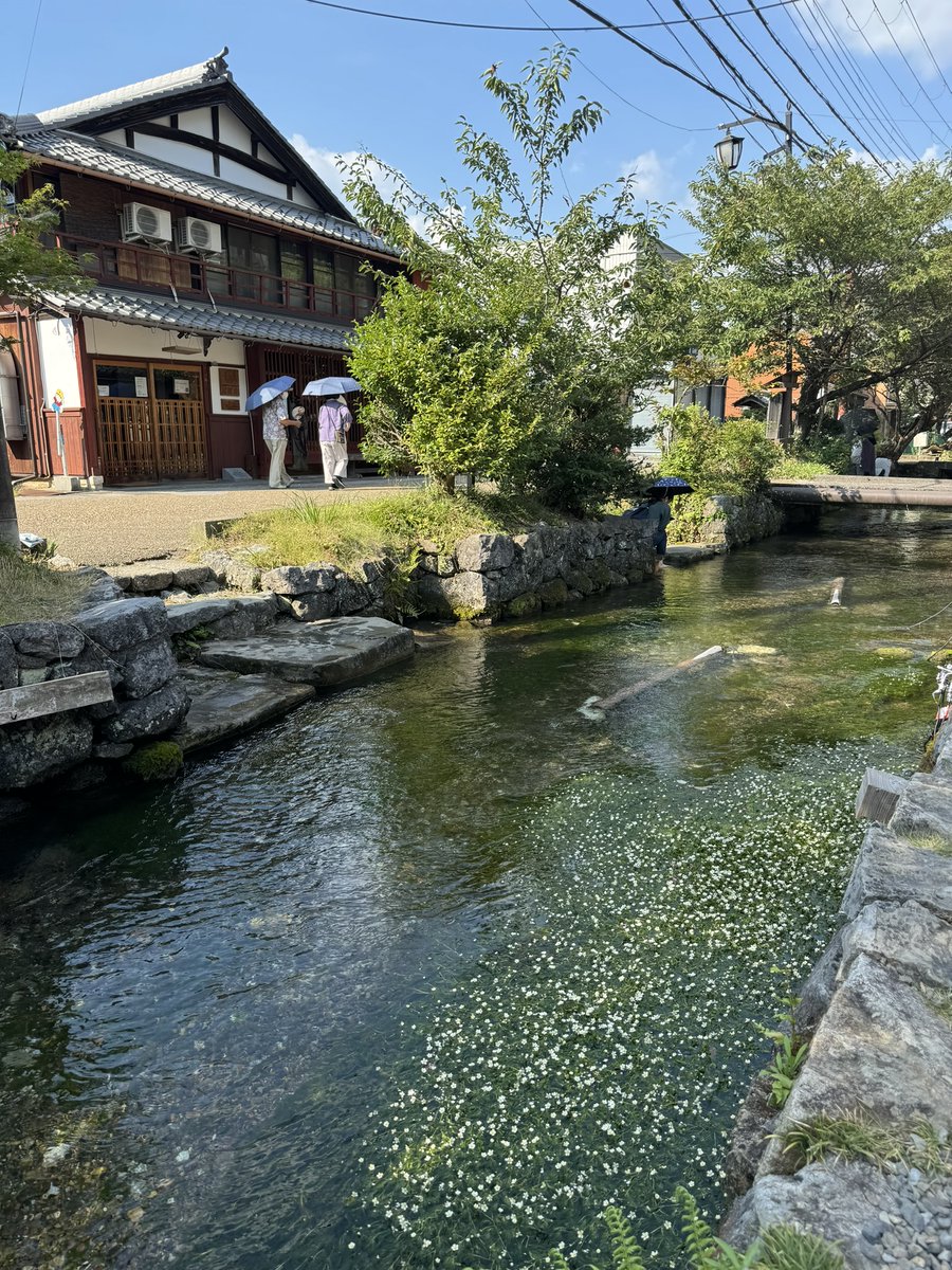 8月1周目くらいは醒ヶ井へ行こう