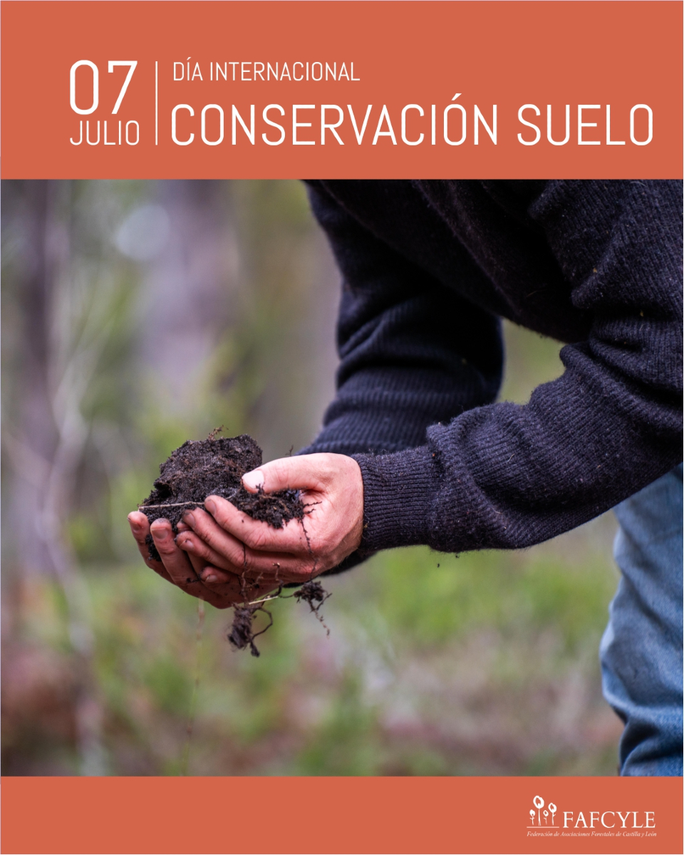 fafcyle's tweet image. 7 de julio #DíaInternacionalConservacionSuelo
Queremos destacar la importancia de conservar el suelo en montes y terrenos forestales y reconocer la labor de los propietarios forestales privados quienes cuidan, gestionan y protegen el 70% de nuestros suelos todos los días de año.