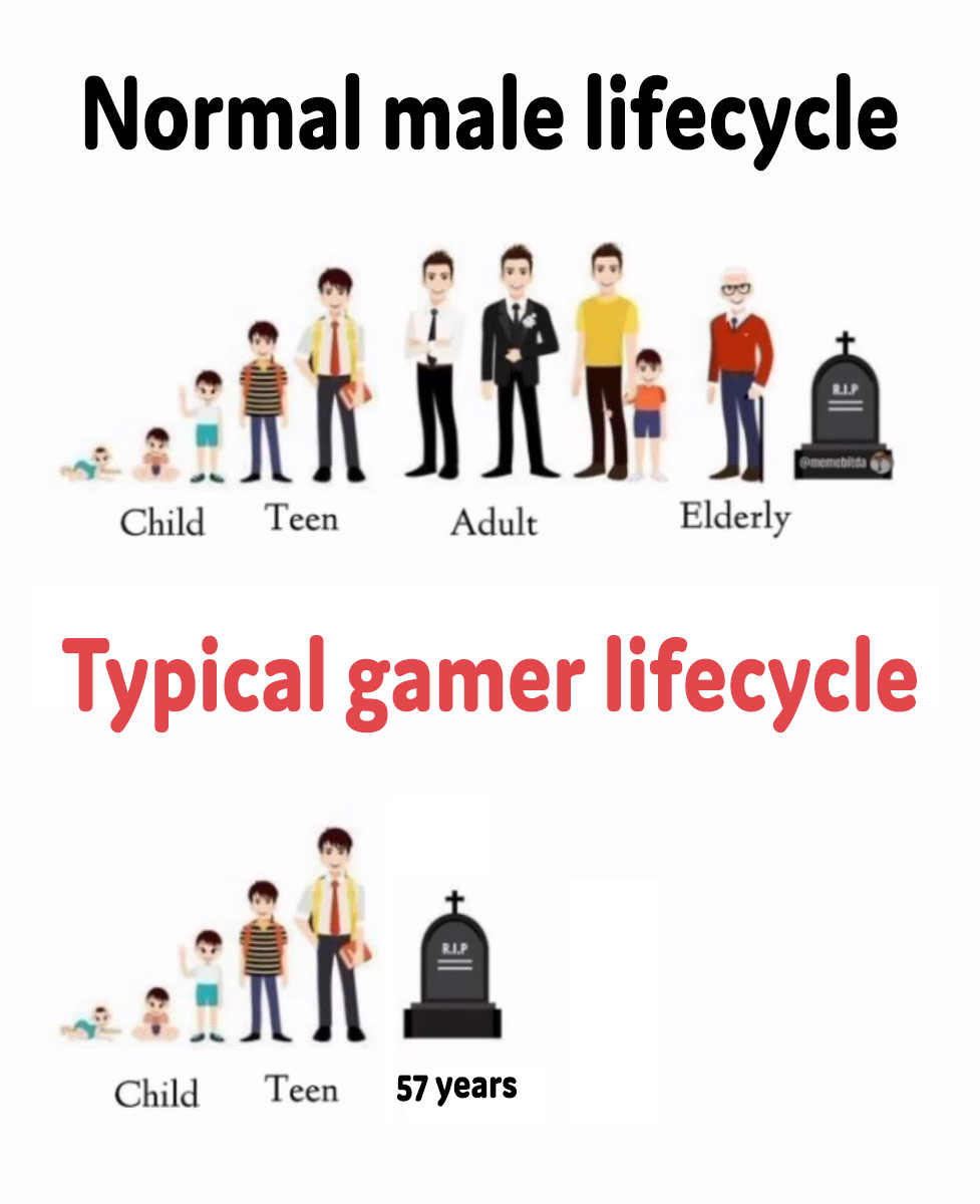 typical gamer lifecycle