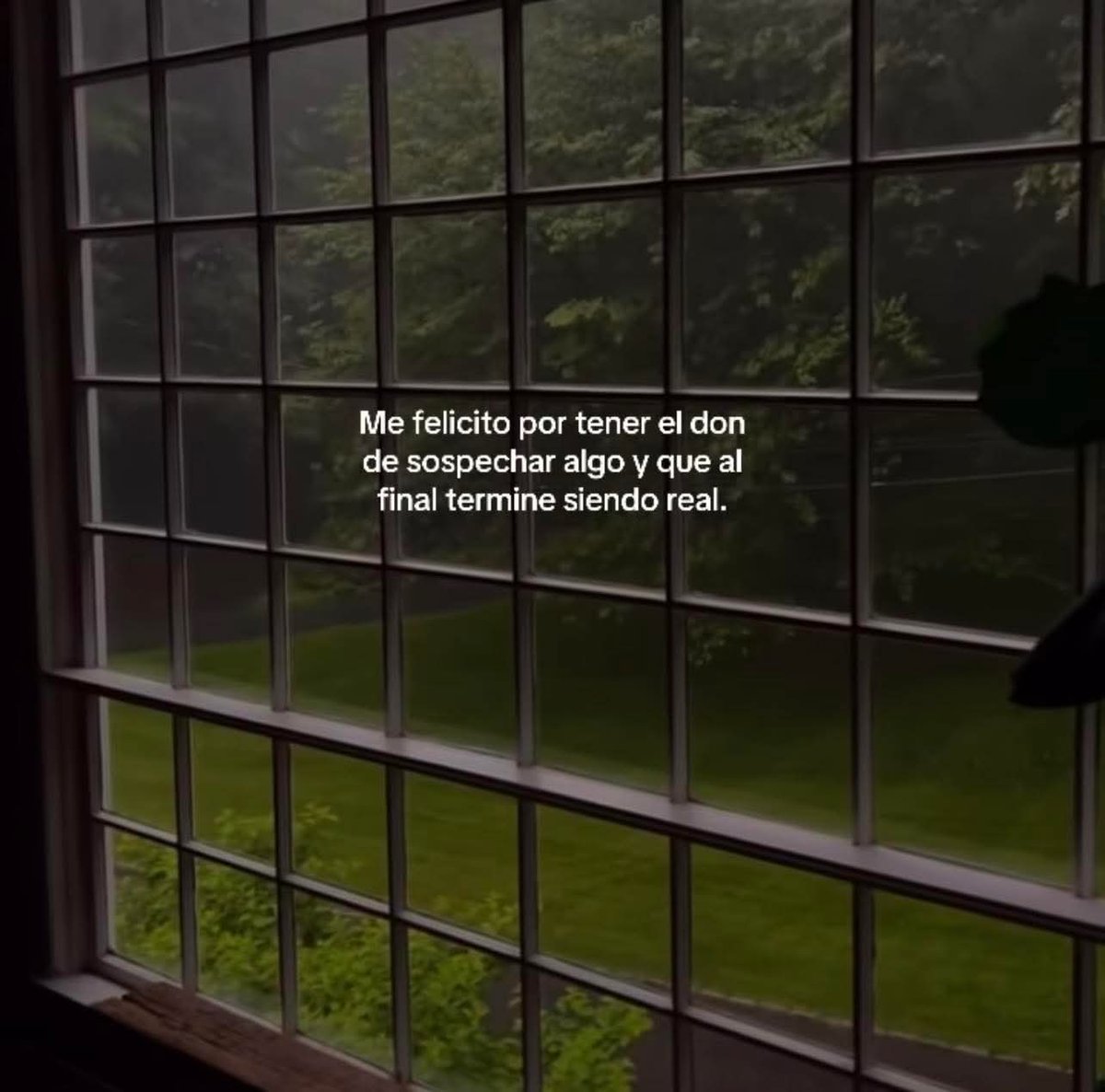 Lonely🥀 (@angelo_uf) on Twitter photo 