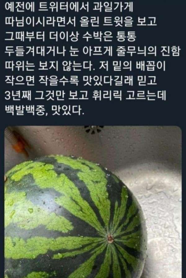 맛난 수박 고르는 꿀팁