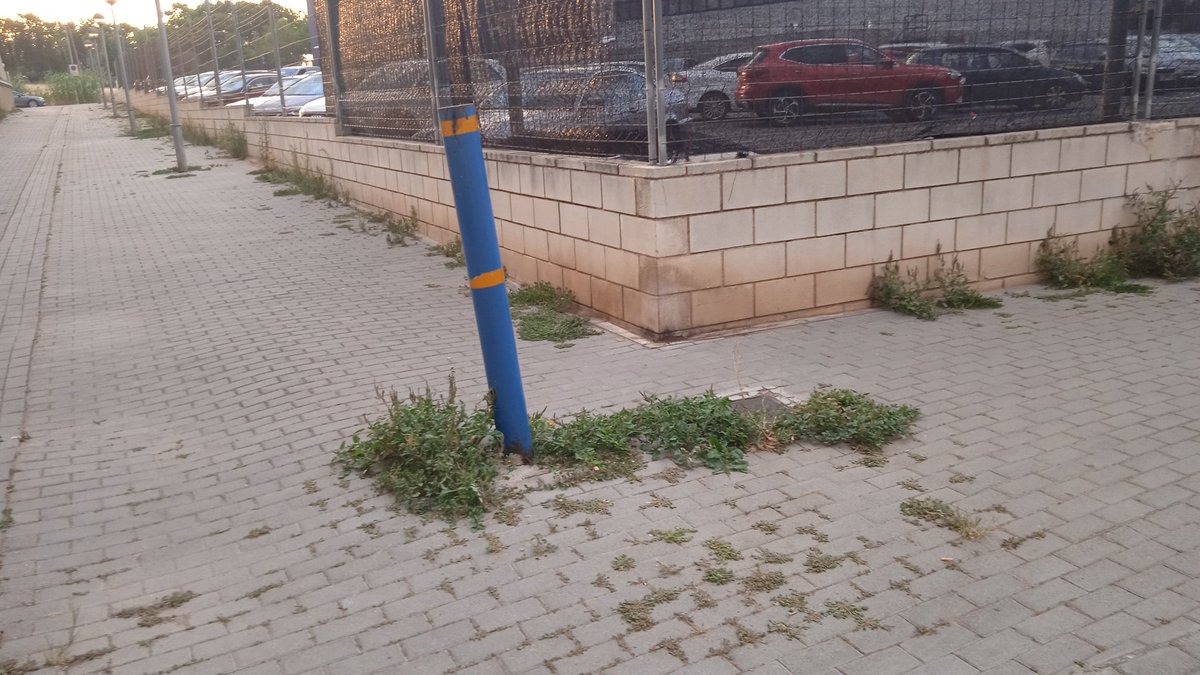 maneltec's tweet photo. 🤠 #HolaLleida_CAT 🐌
Cop d'👁️ ✖️ aquí i ✖️ allà
En #Felix_LaBrosa, en 🚗
vidres fumats 😎.
Jo, #CaminantPerLleida🚶
Trepitjant 💩 X #Lleida
#JoSócEnFaltón 🥴.
#BarrisDeLleida
@paerialleida 😠
#LleidaFaPena
#EscocellsDeMerda
#VoreresDeMerda
#AsfaltatsDePena
🤬Deixadesa total 🥴 https://t.co/akraVl2MVm