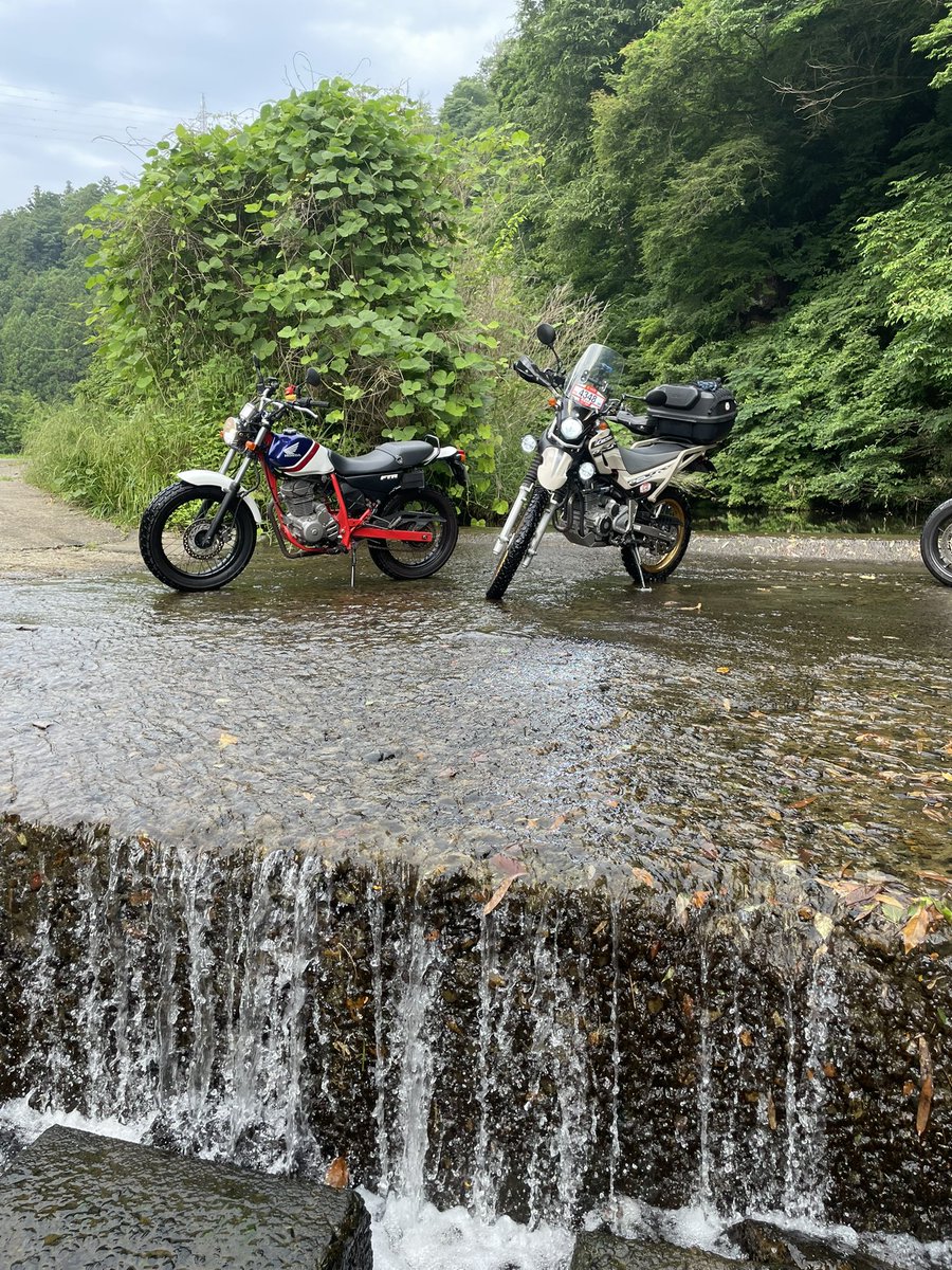 TsuchiuraNumber's tweet photo. #暑いので涼しげな水辺の風景が欲しい https://t.co/twxaMKqPI1