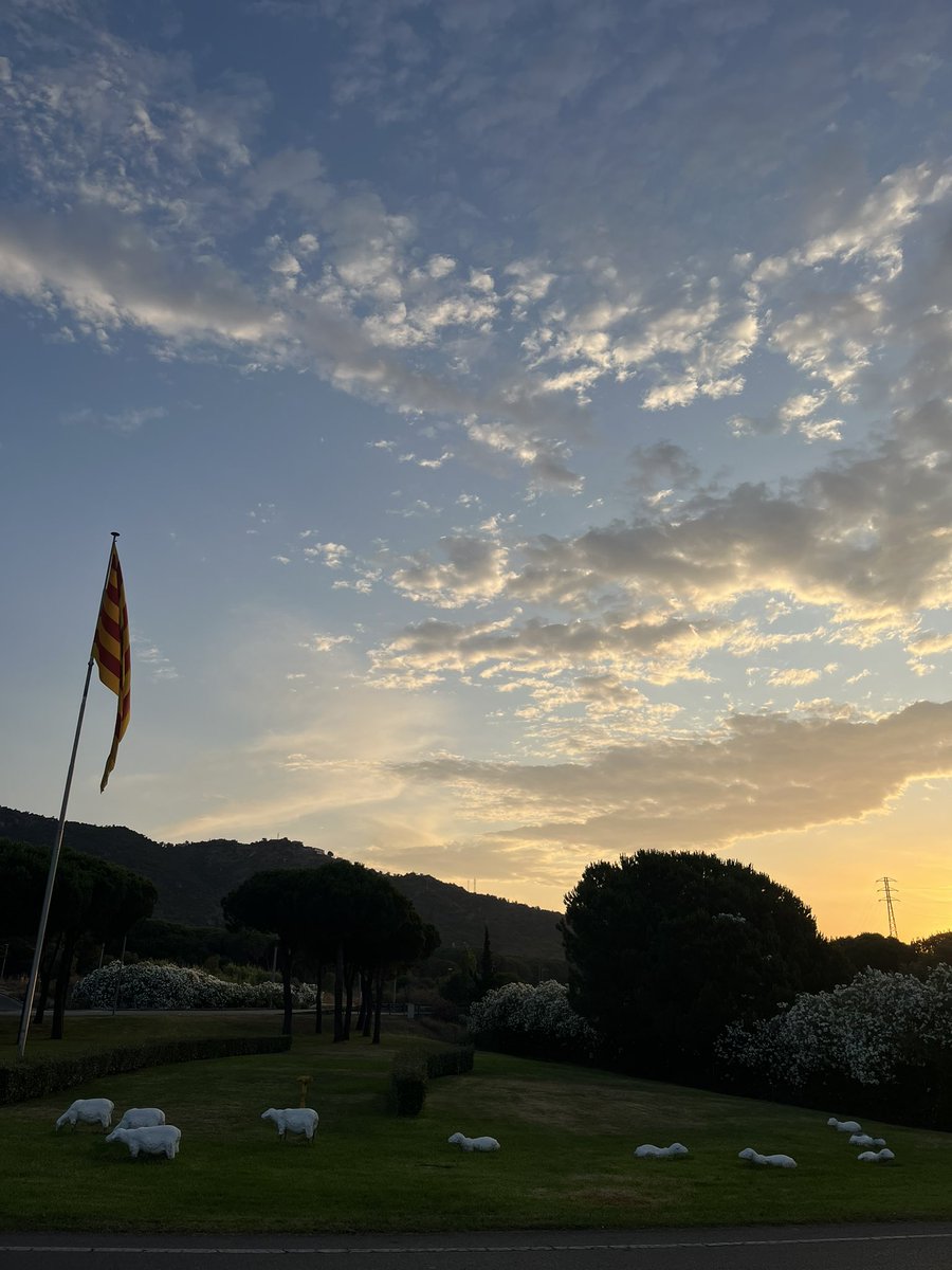 AComasFCB's tweet photo. Un “long run”de diumenge que en diuen, amb un bon esmorzar 

🏃🏻‍♂️51,3km
⏱️04:07 - 4’50’/km
⛰️830

Últimes tirades llargues abans de olla de Núria i UltraPirineu 100km https://t.co/veRDtU8qNF