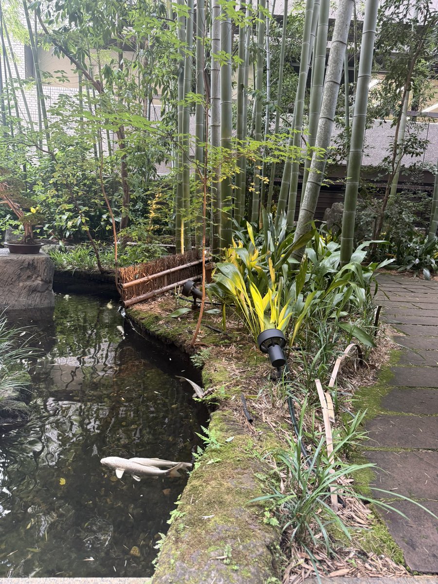 Thanks <a href="/CafeGM_/">CafeGM</a> and <a href="/spacecoin/"></a> for the refreshing and nicely hosted side event during IVS2025. Will be watching your project going forward.