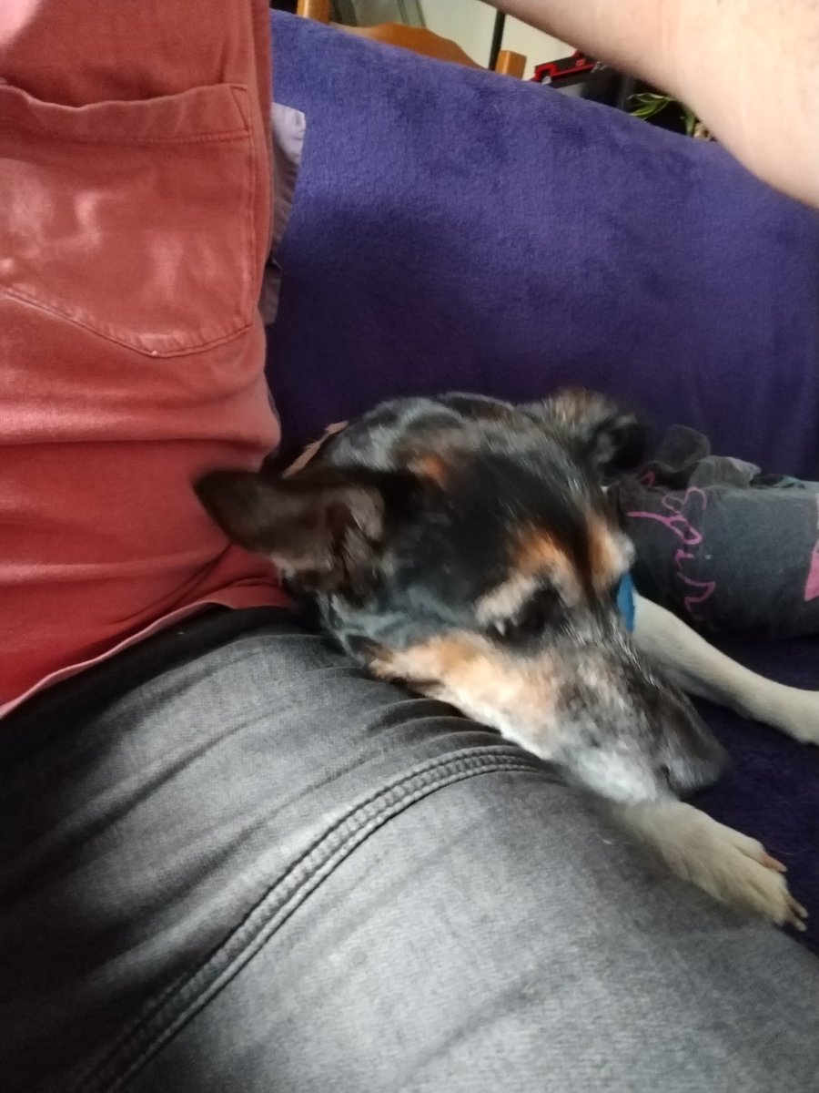 🇨🇵 Dédé 🇫🇷♿ tweet media