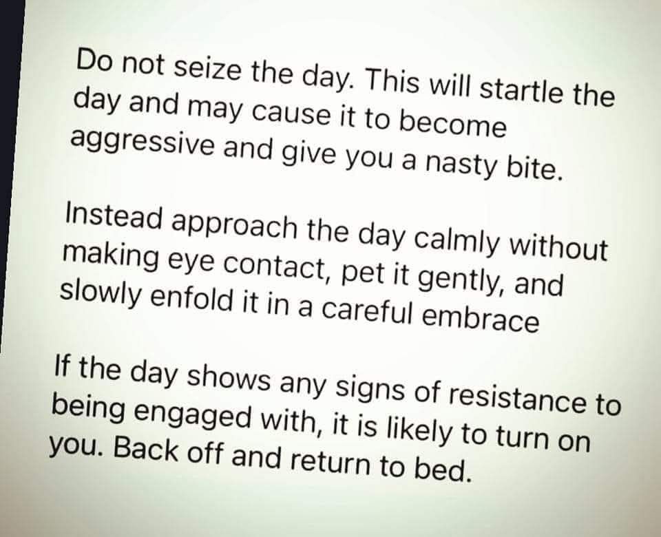 Jules White tweet media