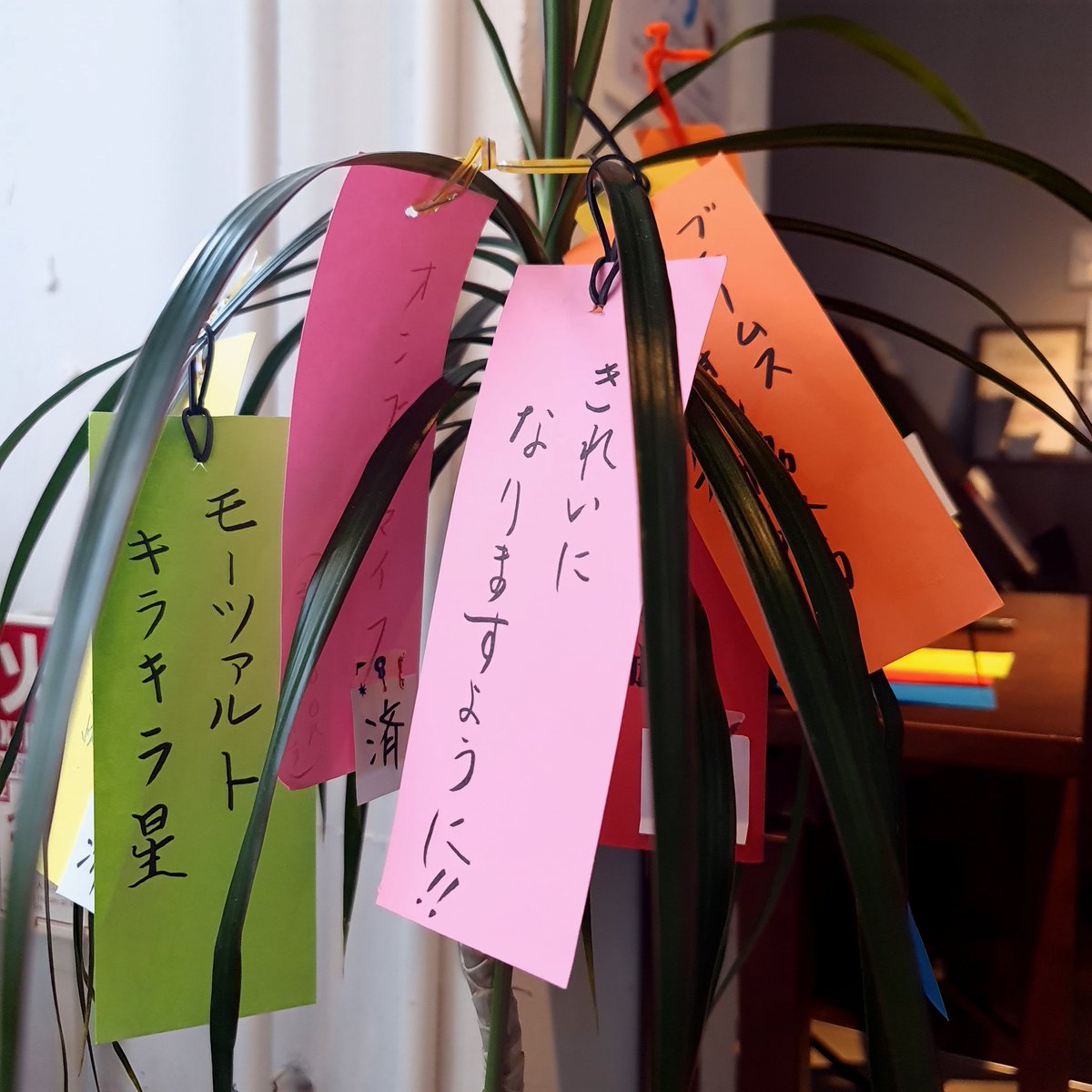 【七夕リクエスト】実施中ー！

しかし、今年も現れました、、

聴きたいクラシックを書いてください、と言っているのに毎年この願い事を書かれる方が。。。

あなたは十分お綺麗です！！！

#七夕