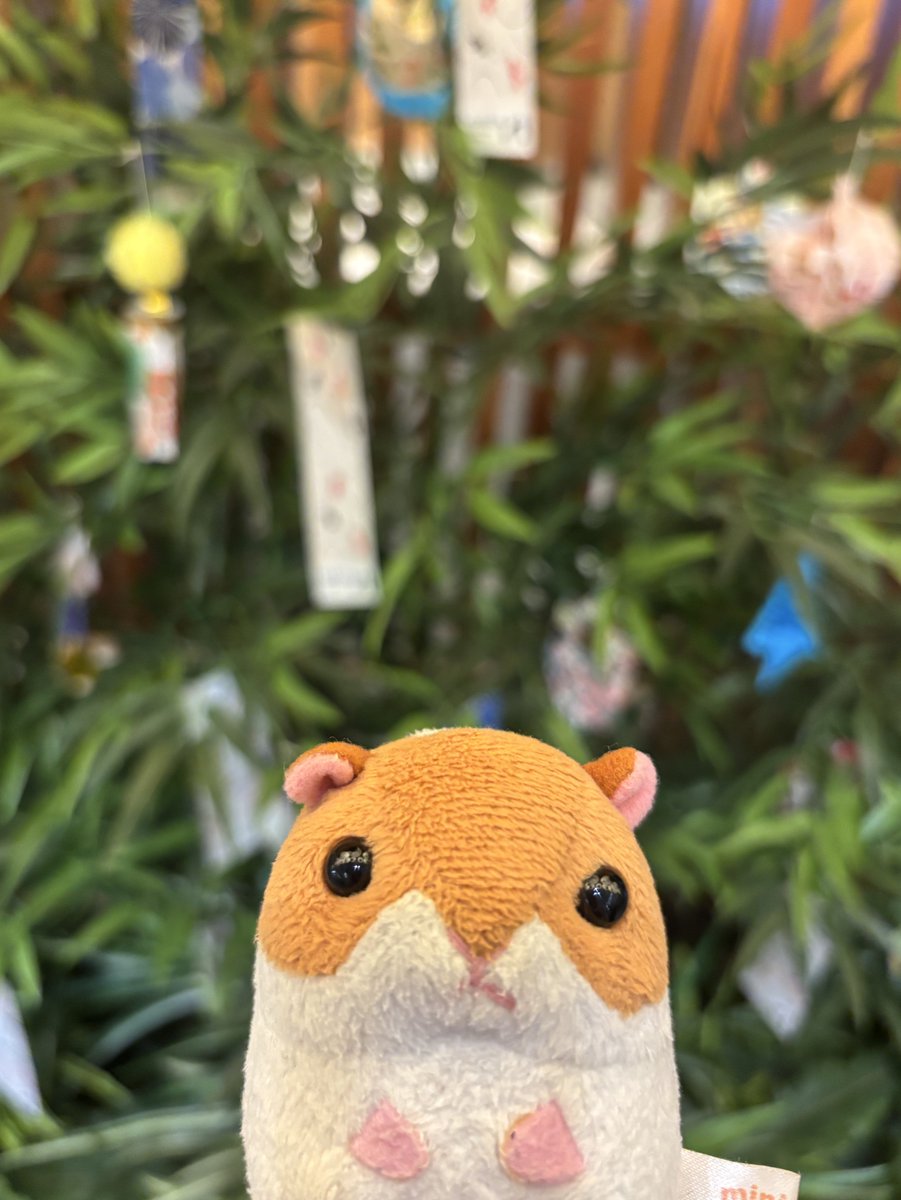 おねがいごと なにしよ💭