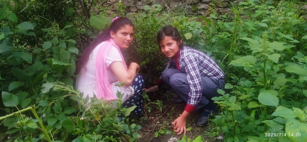 kvaug1947's tweet image. 🌱 हमारे विद्यालय में "एक पेड़ माँ के नाम 2.0" पहल के तहत माता और बच्चों द्वारा 150 से अधिक पौधे रोपे गए। 🌿
यह सराहनीय प्रयास पर्यावरण संरक्षण और हरियाली के प्रति समर्पण को दर्शाता है। 🌍
#EkPedMaaKeNaam #GreenSchool #PlantationDrive
@KVS_HQ
@DmRudraprayag
@FanpageKvs @ro_kvs