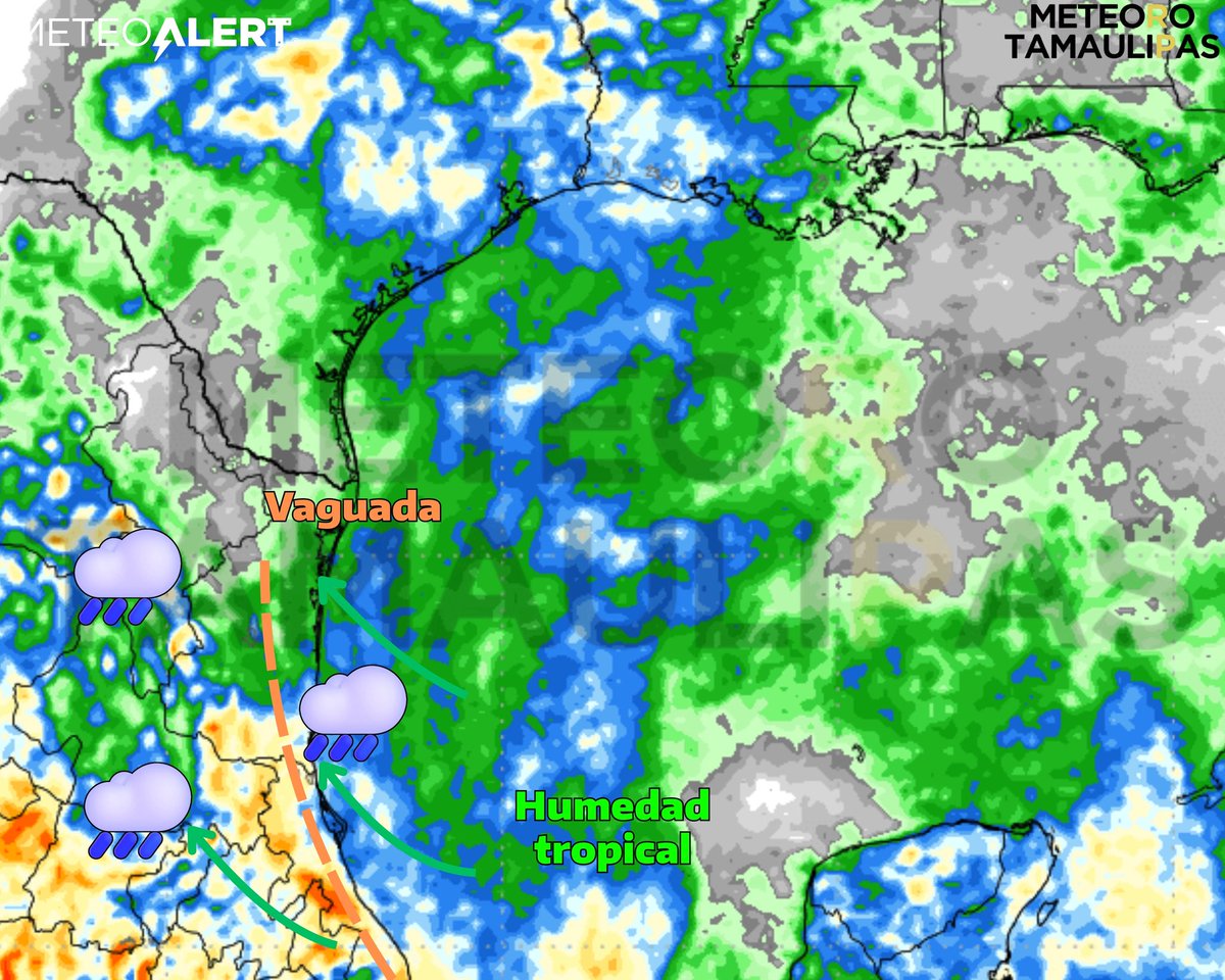 REGRESAN TEMPORALMENTE LAS LLUVIAS 🌧️

Gradual aumento en la actividad de lluvias a partir del #lunes, debido a nuevo flujo de humedad tropical procedente del Golfo.

➡️Dicha actividad de concentrará principalmente en la mitad Sur del territorio tamaulipeco.

✅Mucho menor a lo